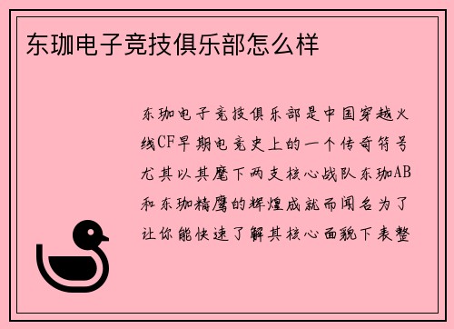 东珈电子竞技俱乐部怎么样