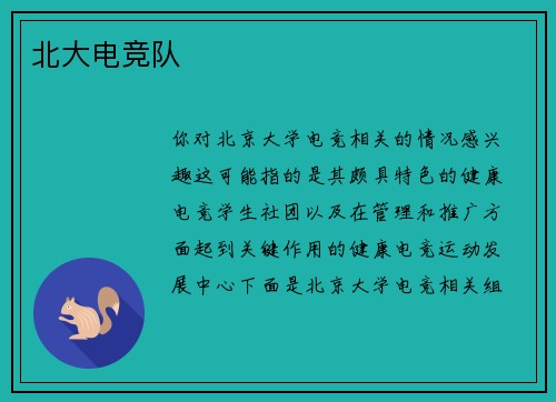 北大电竞队